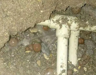 省直辖县卫生间测漏