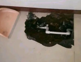 省直辖县卫生间测漏水多少钱